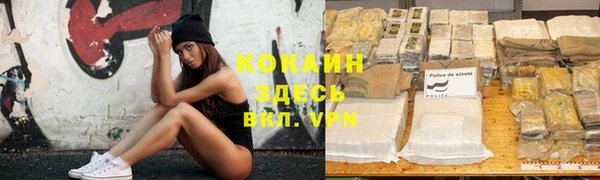 стаф Елизово