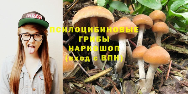 молекула духа Заволжск