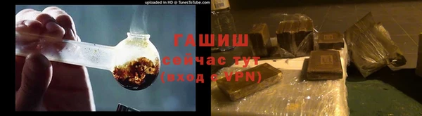 стаф Елизово