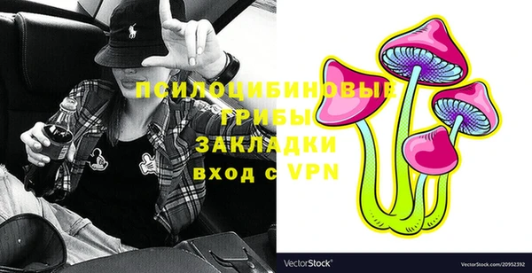 гашик Елабуга