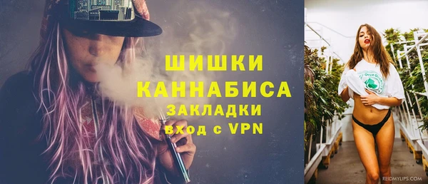 стаф Елизово