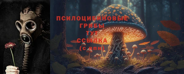 экстази Ельня