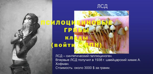 стаф Елизово