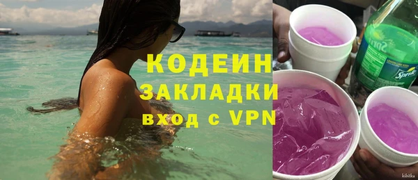 стаф Елизово