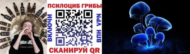 Купить где  Домодедово  Псилоцибиновые грибы мицелий